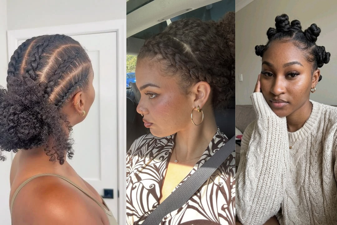 Quick Natural Hairstyles With Braids