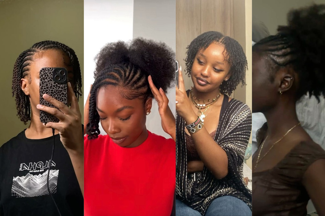 Natural Hair Styles Braids